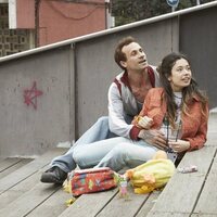 Girasoles silvestres