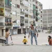 Girasoles silvestres