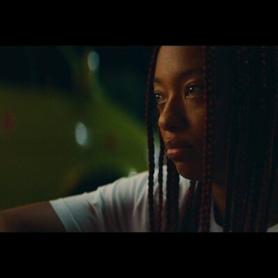 El protector (The Enforcer)