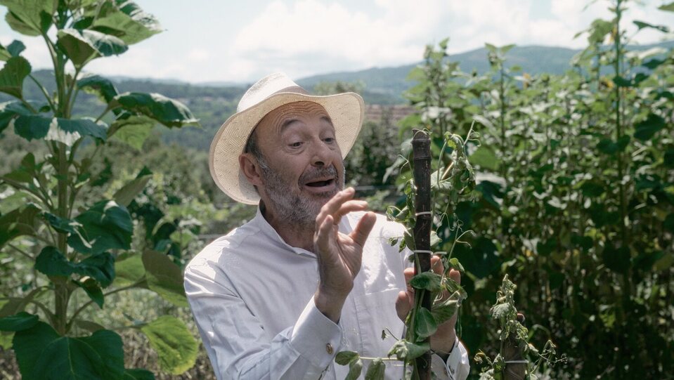 El tirabeque