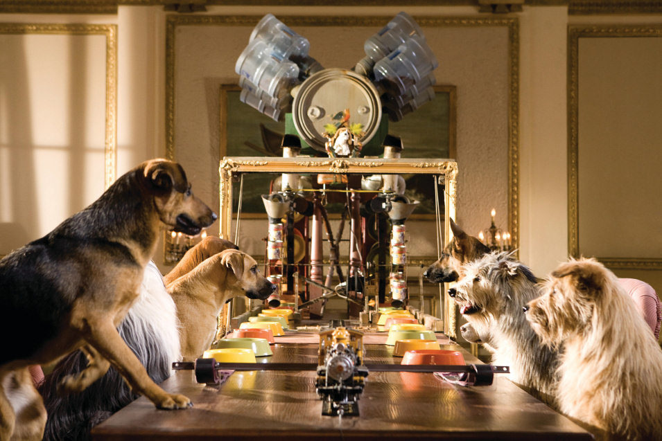 Hotel para perros