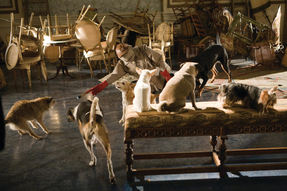 Hotel para perros