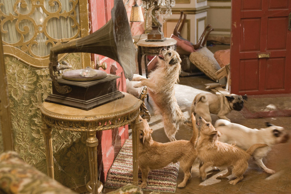 Hotel para perros