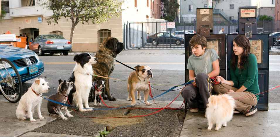 Hotel para perros