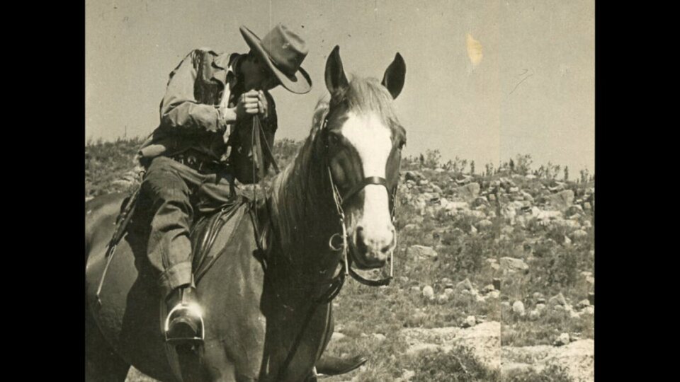 Los caballos mueren al amanecer