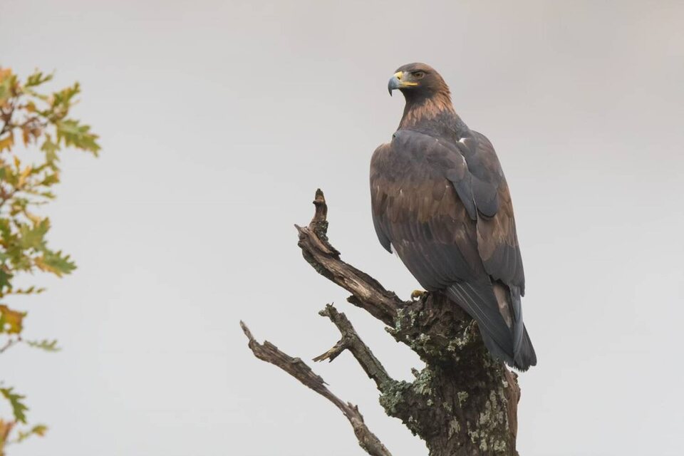 Iberia, naturaleza infinita