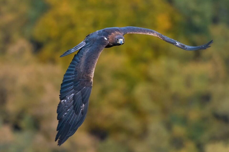 Iberia, naturaleza infinita