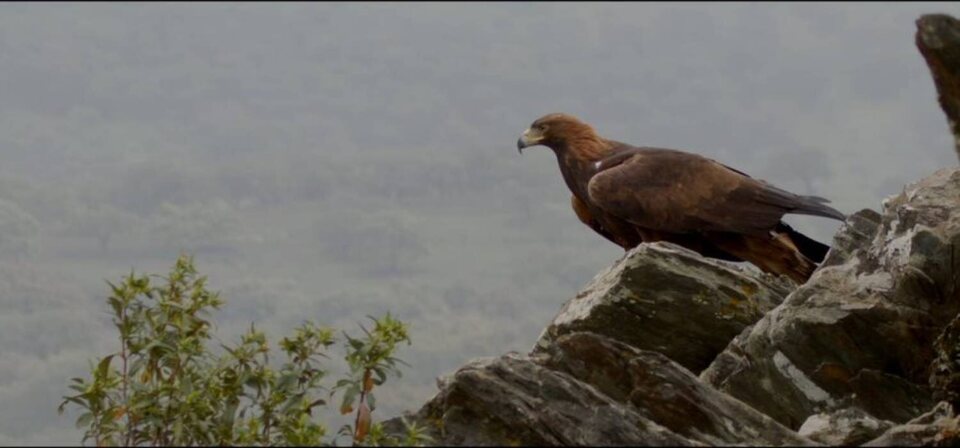 Iberia, naturaleza infinita