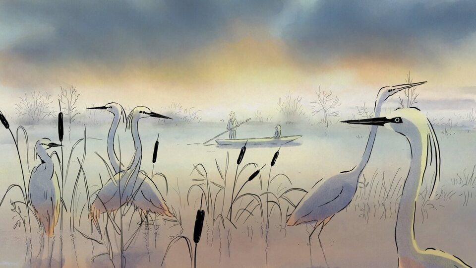 La isla de las aves