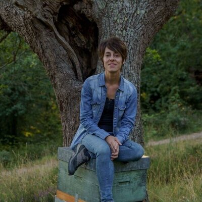 20.000 especies de abejas