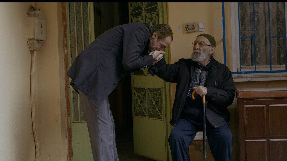 Los osos no existen