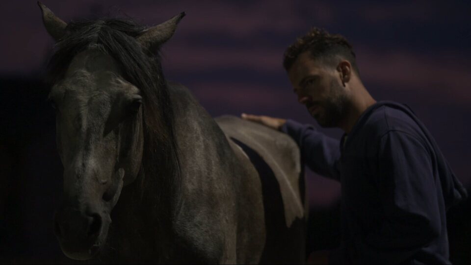 Hermano caballo