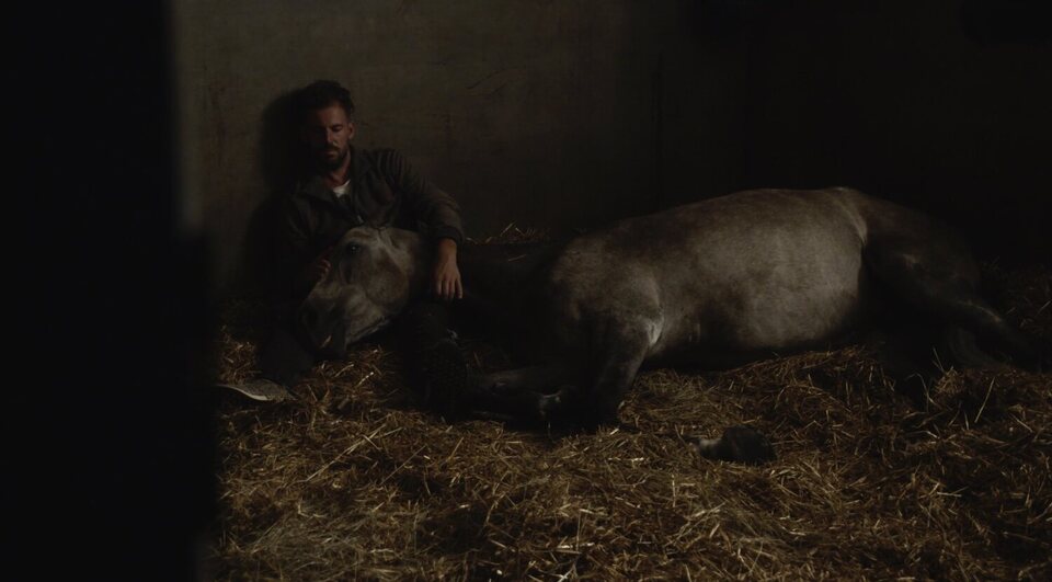 Hermano caballo