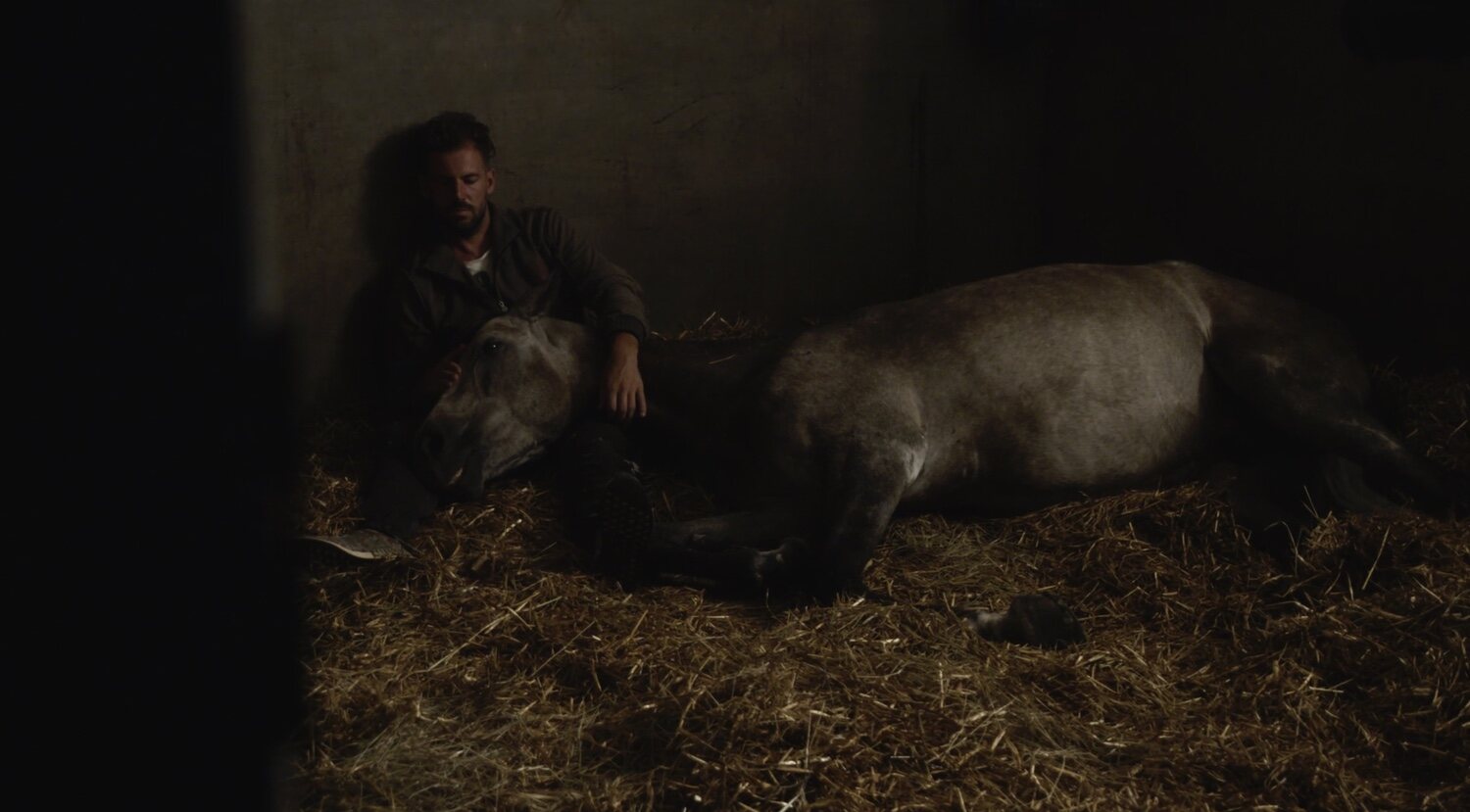 Hermano caballo