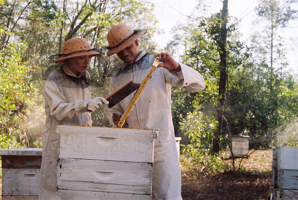 La vida secreta de las abejas