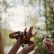Los Juegos del Hambre: Balada de pájaros cantores y serpientes