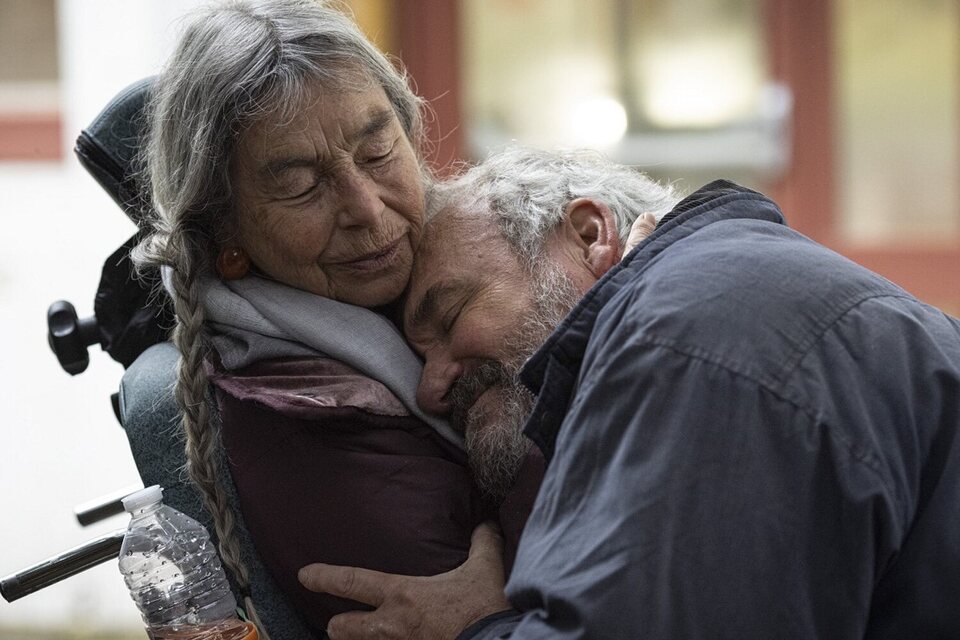 Pequeños grandes amigos