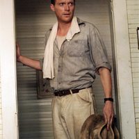 La vida secreta de las abejas