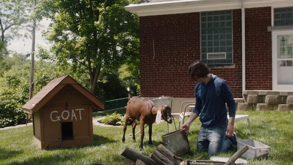Goat