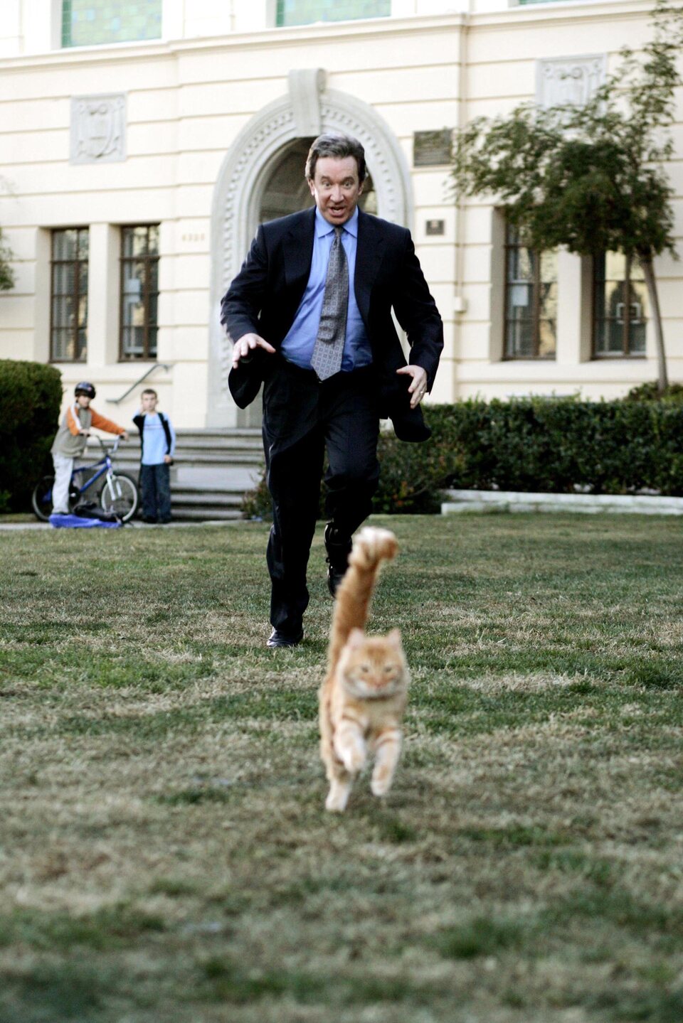 Cariño, estoy hecho un perro