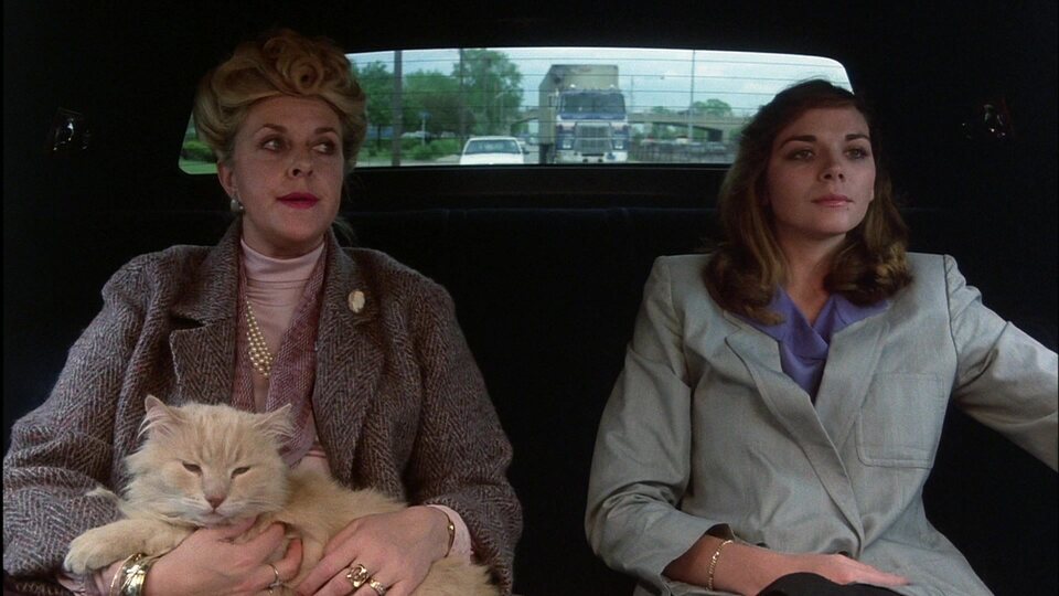 Loca academia de policía