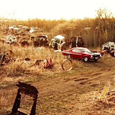 Surveillance (Vigilancia)