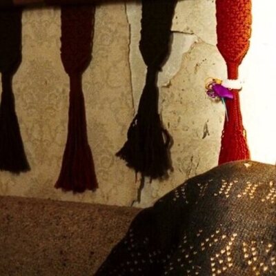 Surveillance (Vigilancia)