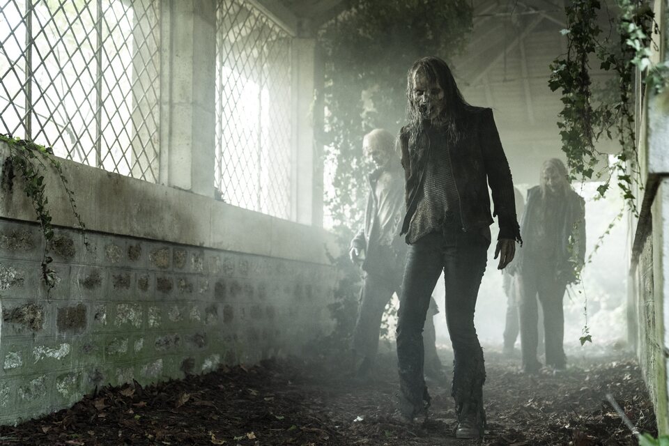 The Walking Dead: Daryl Dixon