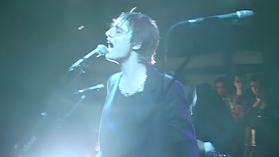 Peter Doherty: Stranger in My Own Skin