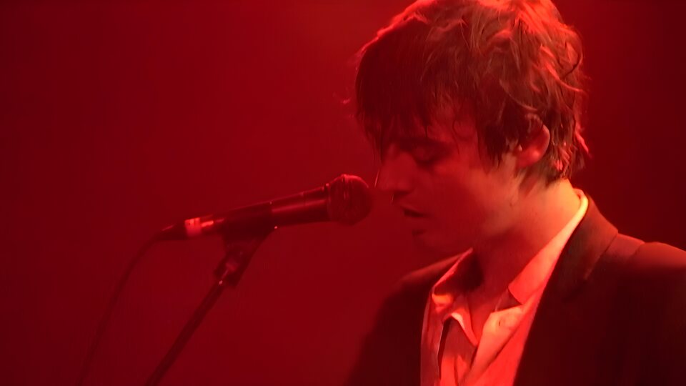 Peter Doherty: Stranger in My Own Skin