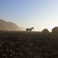 Splendid Hotel: Rimbaud en África