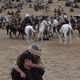 El caballo de dos piernas