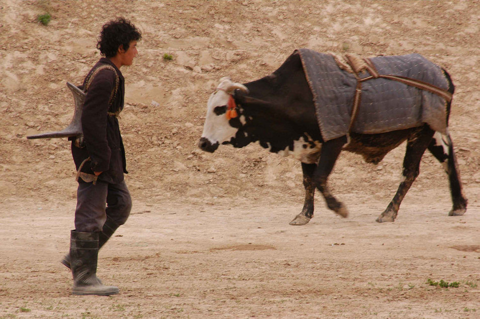 El caballo de dos piernas