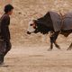 El caballo de dos piernas