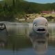 Katak, la pequeña ballena blanca