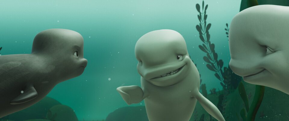Katak, la pequeña ballena blanca