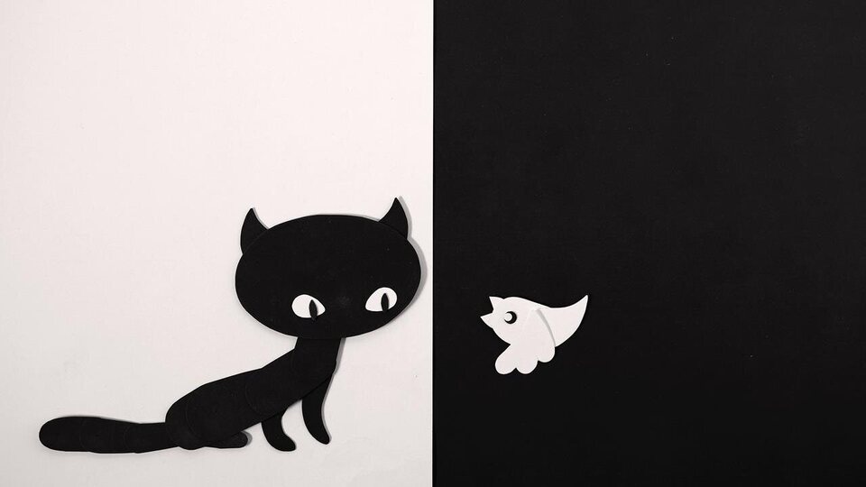 El Gato Tabby