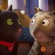 El Gato Tabby