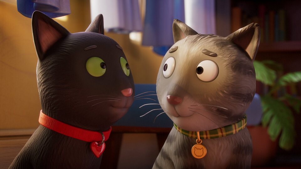 El Gato Tabby