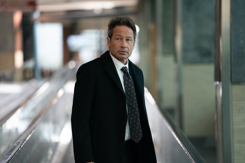 David Duchovny