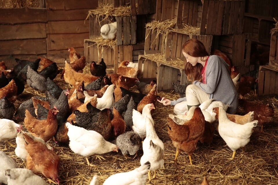 Au fil des saisons