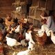 Au fil des saisons
