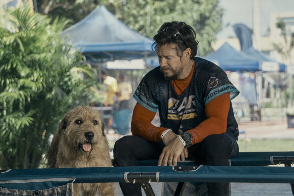 Mark Wahlberg