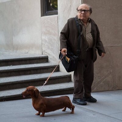 Danny DeVito