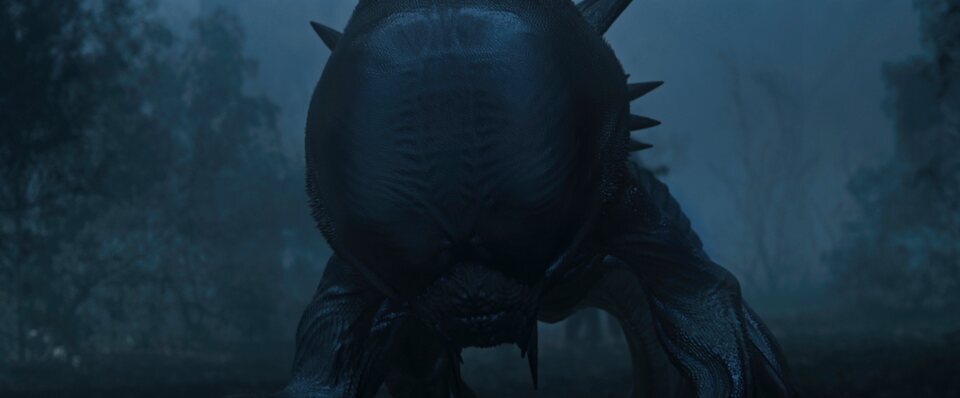 Invasion
