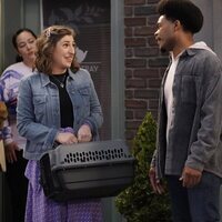 Lassie: Una nueva aventura