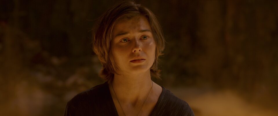 Willow