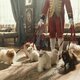 Queen Charlotte: A Bridgerton Story