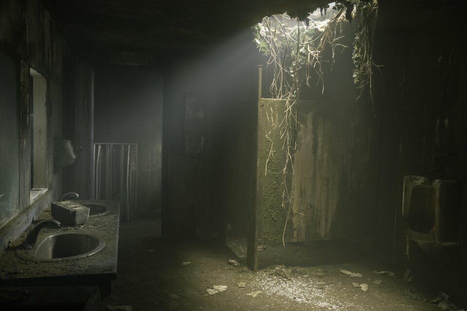 The Last of Us