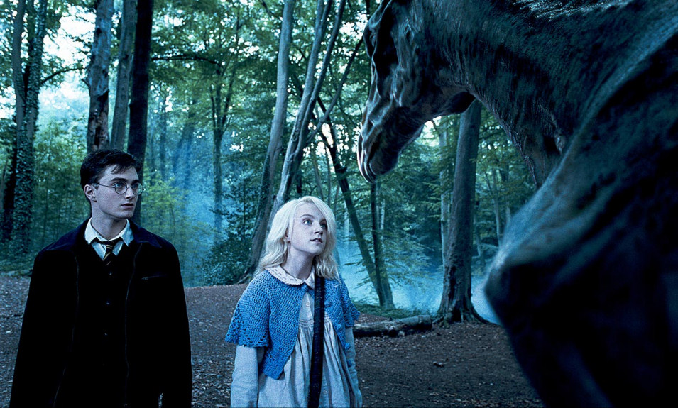 Harry Potter y la Orden del Fénix